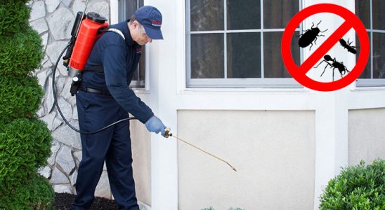 Fındıklı Tahtakurusu İlaçlama böcek ilaçlama ve haşere kontrolü — ilaclama-tr.com